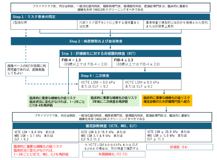 MASLD診療、「誰が診るか」を変える非侵襲的検査 | ドクターズアイ