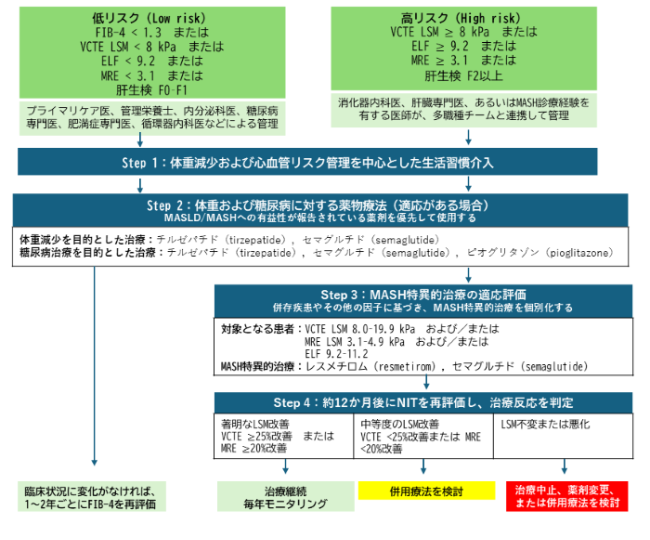 MASLD診療、「誰が診るか」を変える非侵襲的検査 | ドクターズアイ