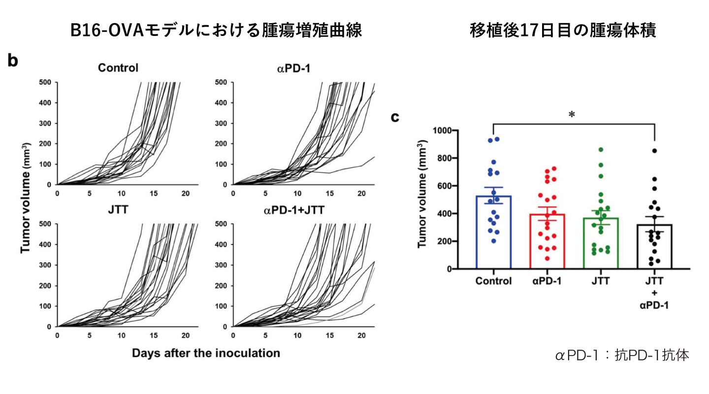 漢方はがん免疫療法の「場」を変えうるか | ドクターズアイ 岩井拓磨