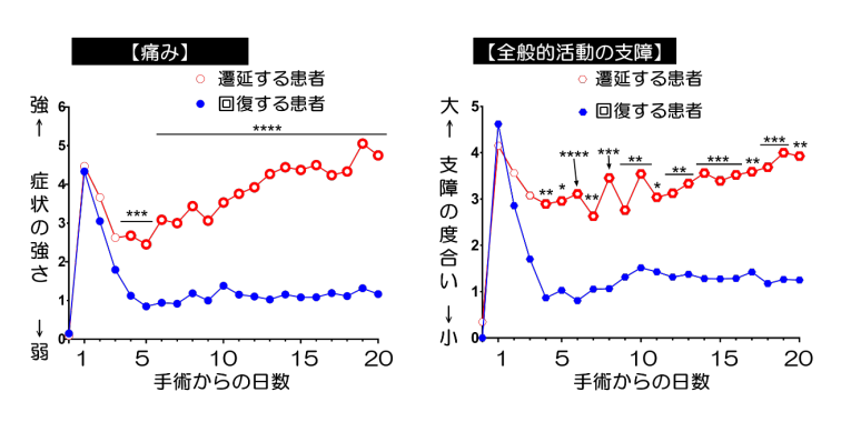 01_kfigkansai.png
