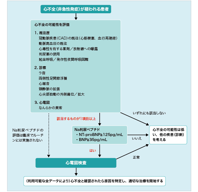 ESCが心不全ガイドラインを改訂 | 医学ニュース | Medical Tribune