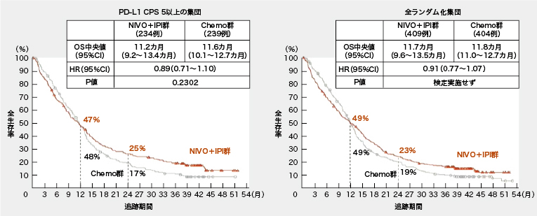 未治療胃・食道がんへのニボ＋化学療法、長期OSも改善 | 医学ニュース