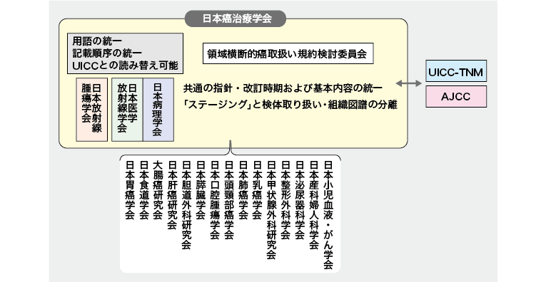 領域横断的がん取扱い規約」作成のポイント | 医学ニュース | Medical