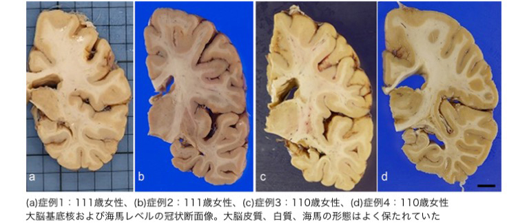 26070_fig1.jpg