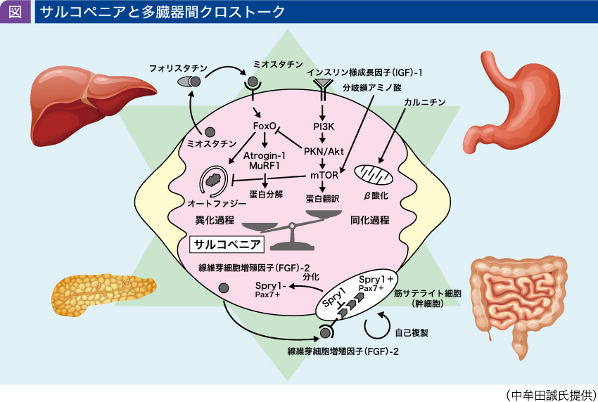 jddw2020_no3_p2_fig1