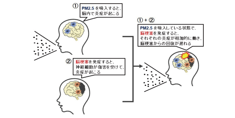42126_fig03.jpg