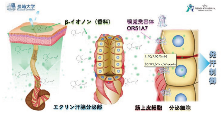 42720_fig01.jpg