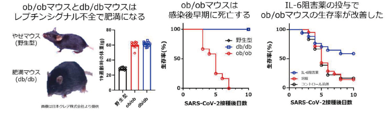 44928_fig02.jpg