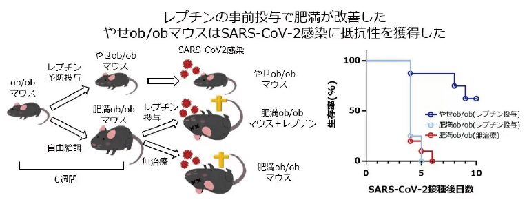 44928_fig03.jpg