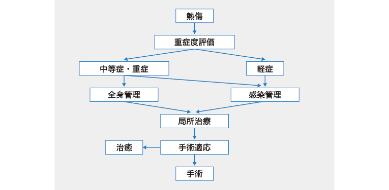 熱傷では適切な初期治療が重要 | 医学ニュース | Medical Tribune