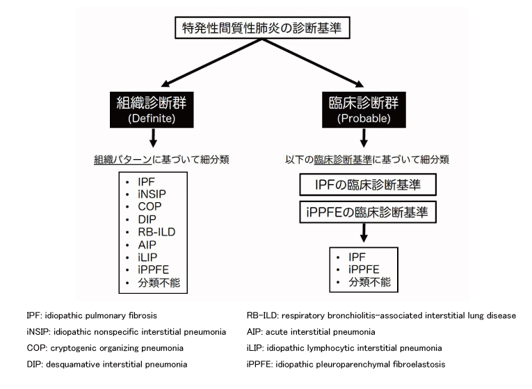 特発性間質性肺炎の診断基準改訂へ | 医学ニュース | Medical Tribune