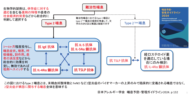 喘息予防・管理ガイドライン』の改訂ポイント | 医学ニュース