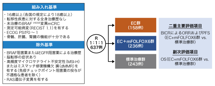 試験概要の図表