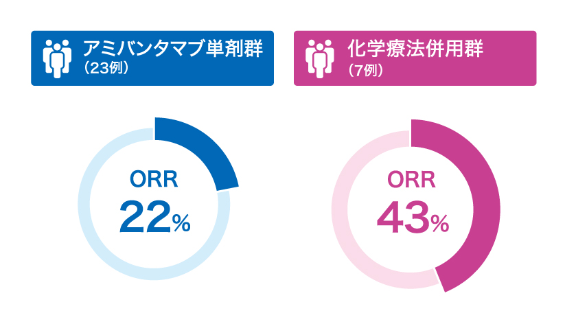 インフォグラフィック