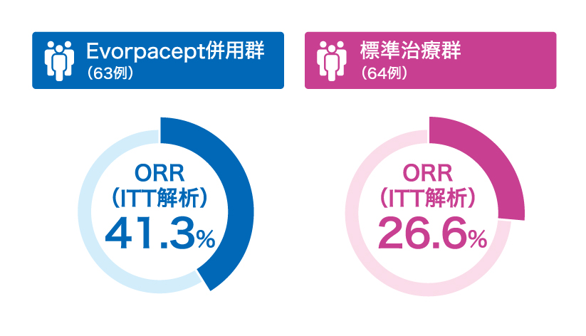 試験概要の図表