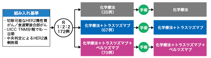 試験概要の図表