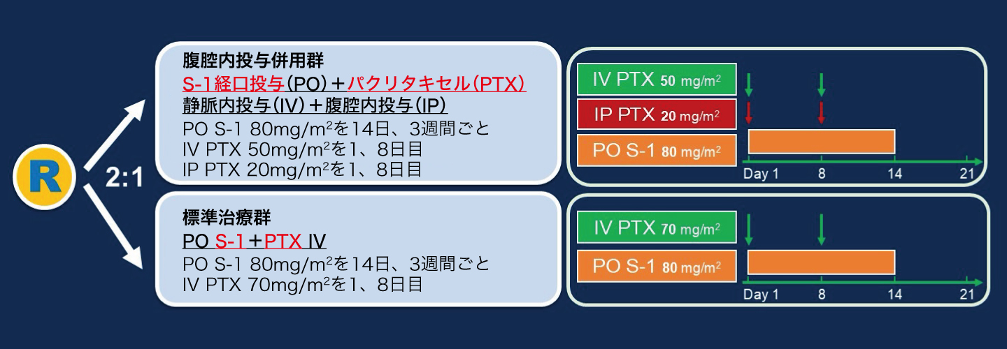試験概要の図表