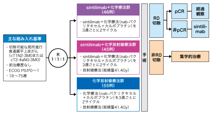 試験概要の図表