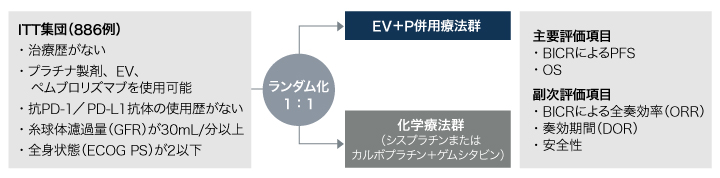 試験概要の図表