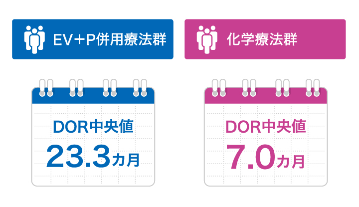 メインイメージ