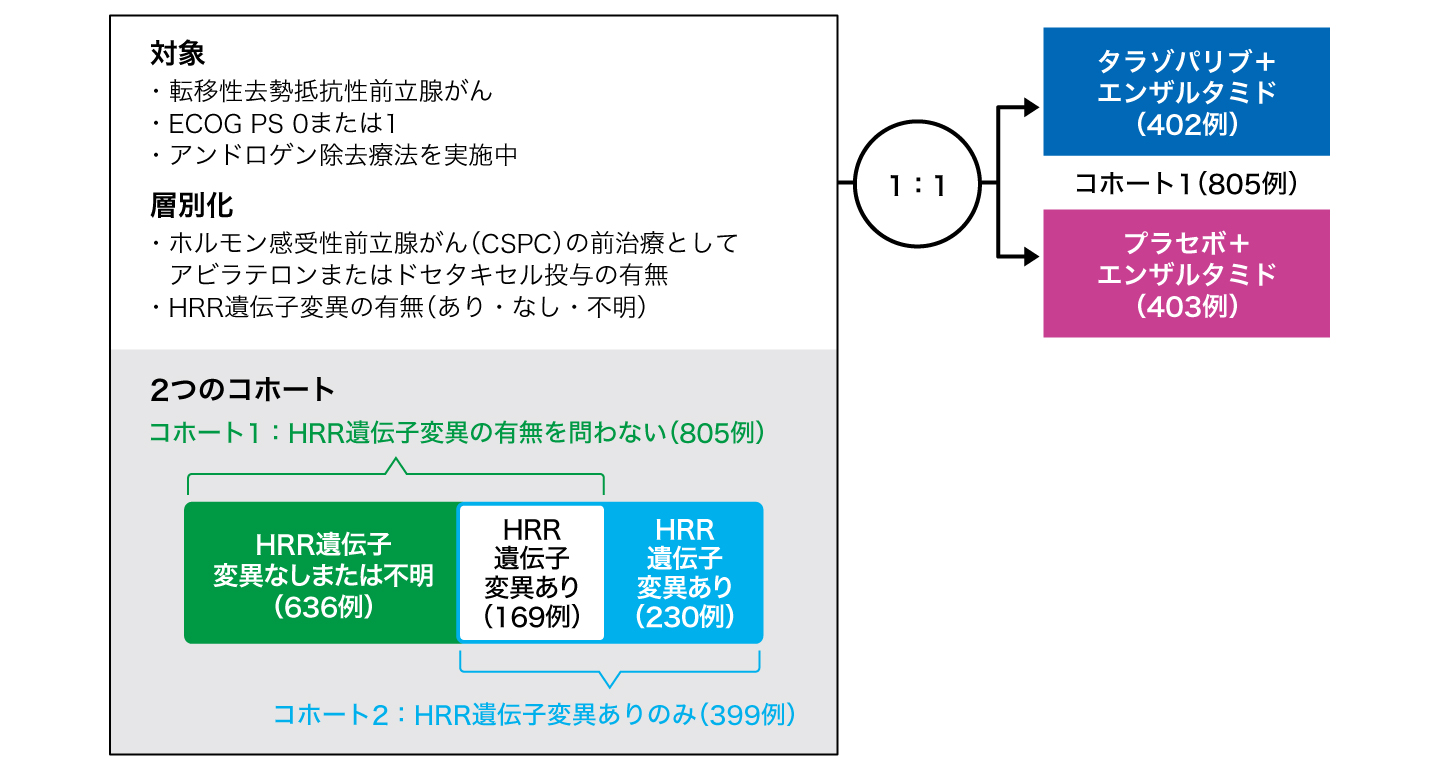 試験概要の図表