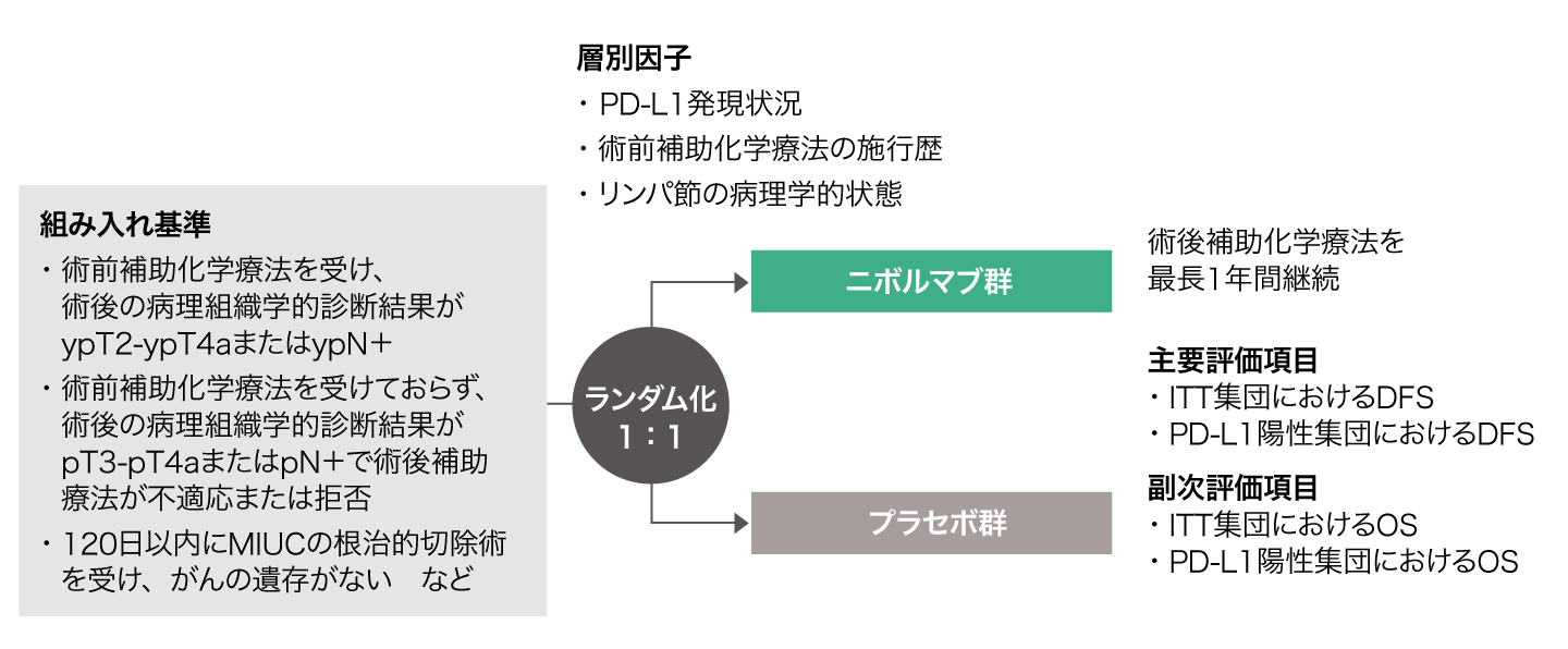 試験概要の図表