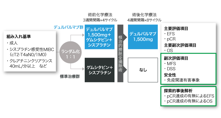 試験概要の図表
