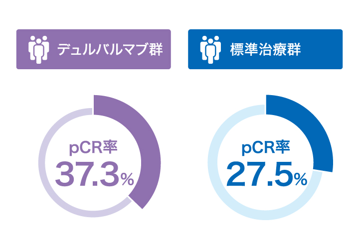 メインイメージ