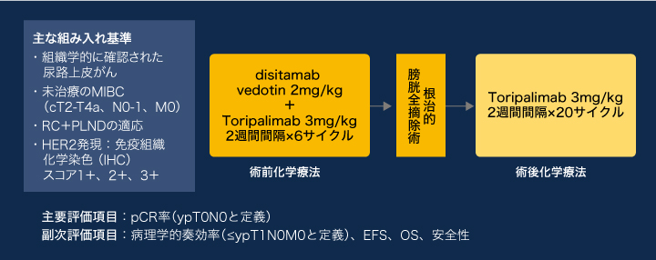 試験概要の図表