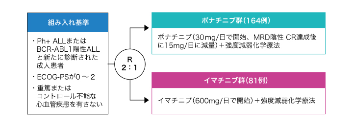 試験概要の図表
