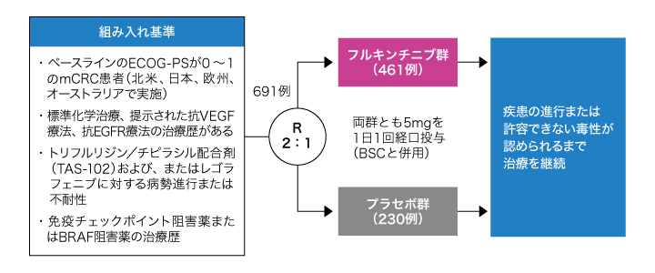 試験概要の図表