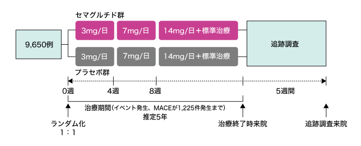 試験概要の図表