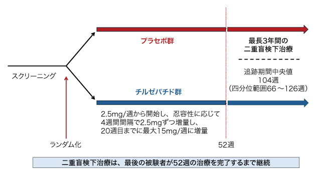 試験概要の図表