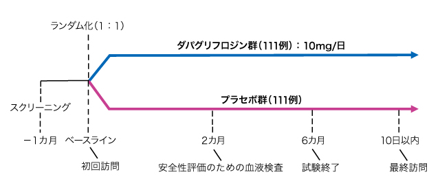 試験概要の図表
