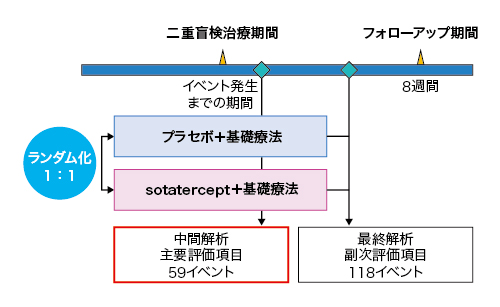 試験概要の図表