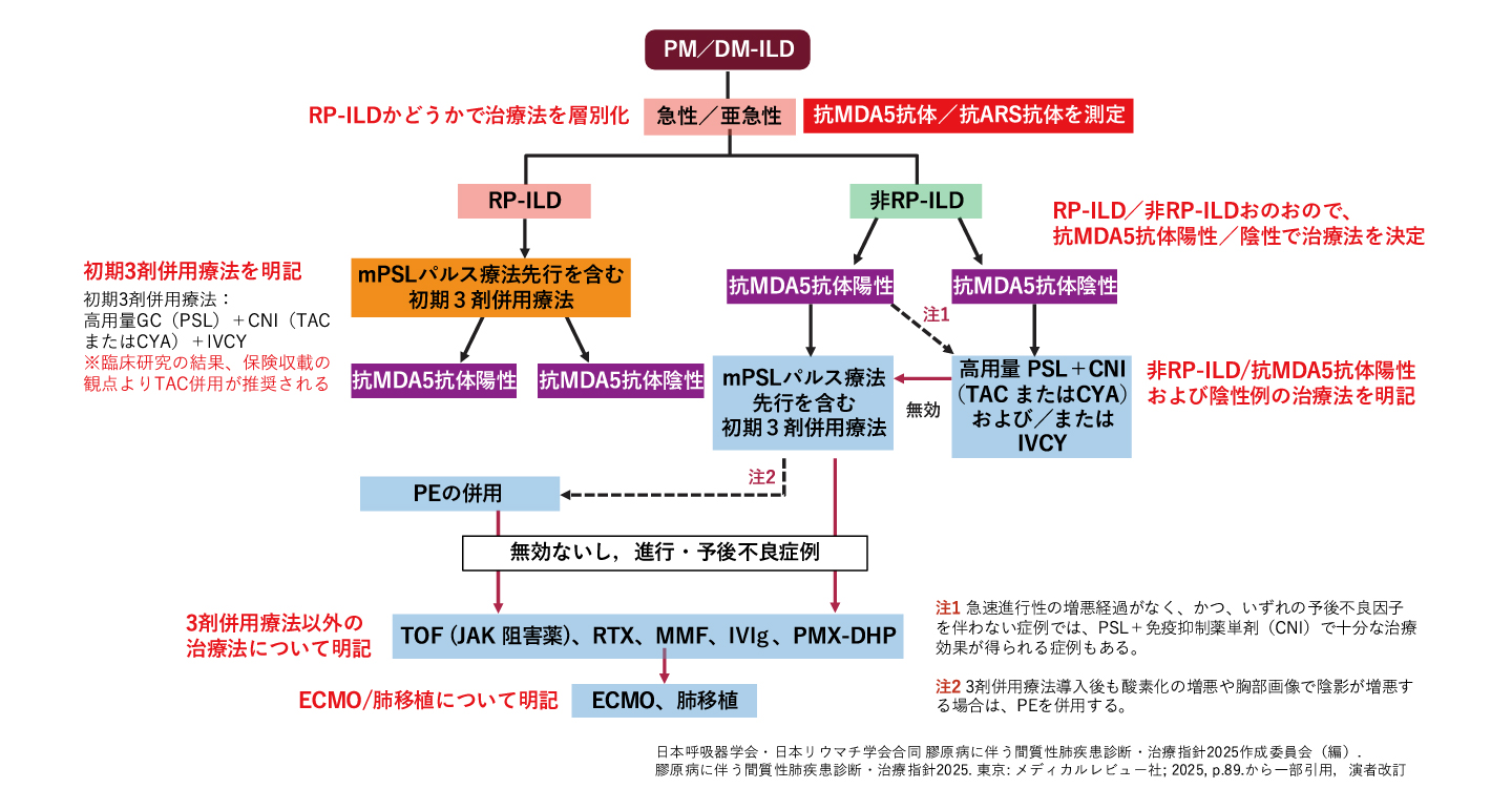 5年ぶり改訂の『膠原病に伴う間質性肺疾患診断・治療指針』 | 医学
