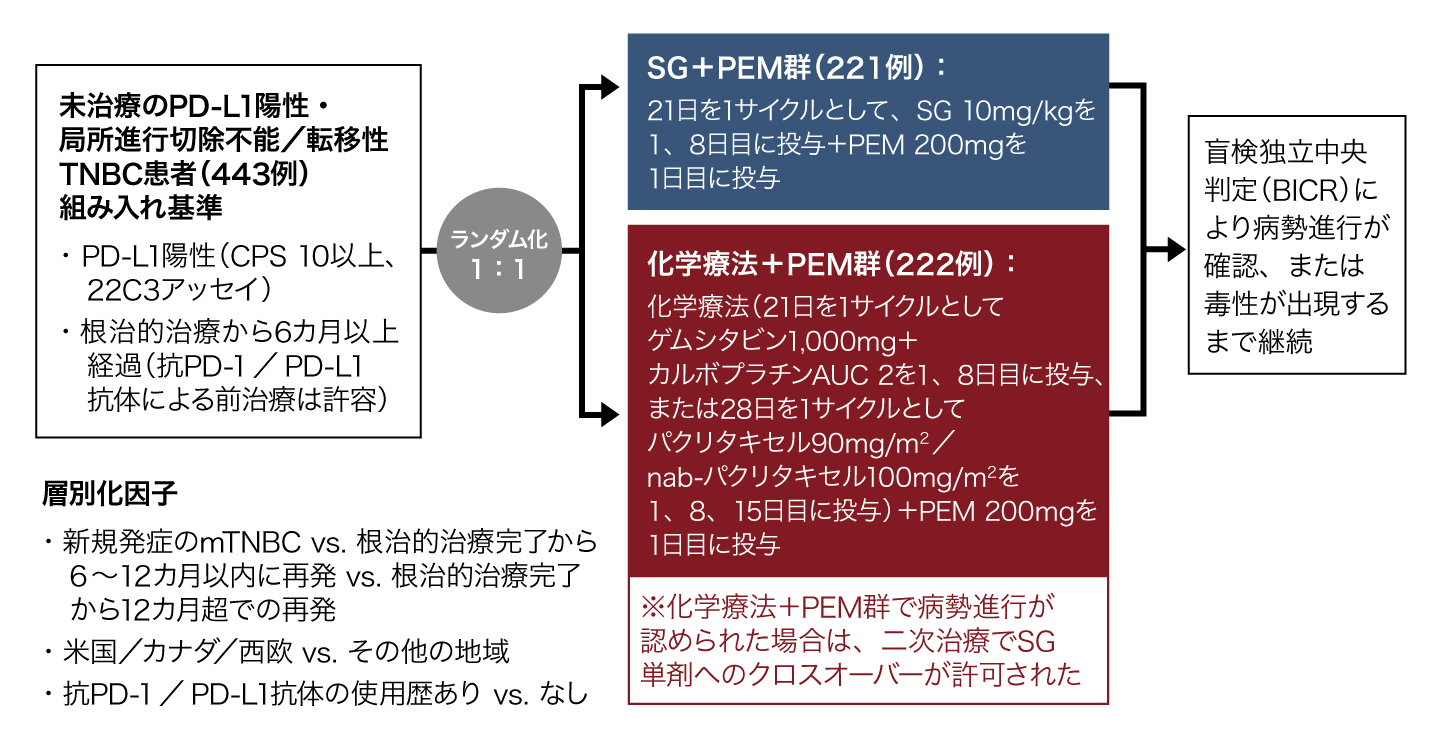 試験概要の図表