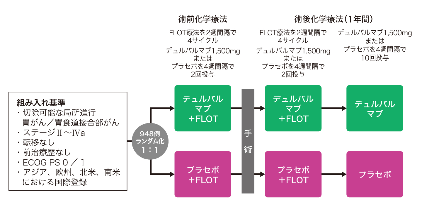 試験概要の図表