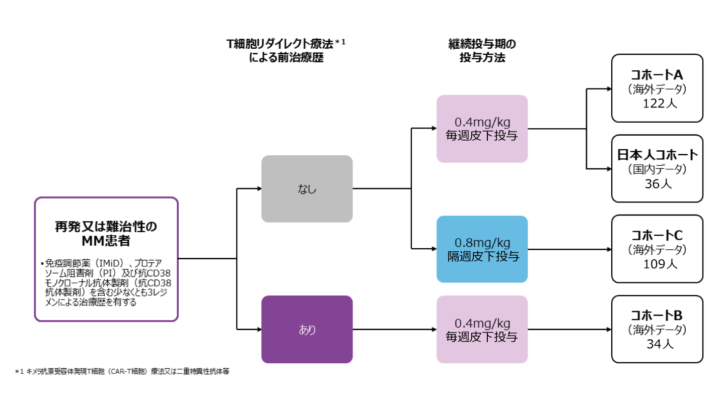 多発性骨髄腫の新薬、BCMA標的治療との違いは | 医学ニュース