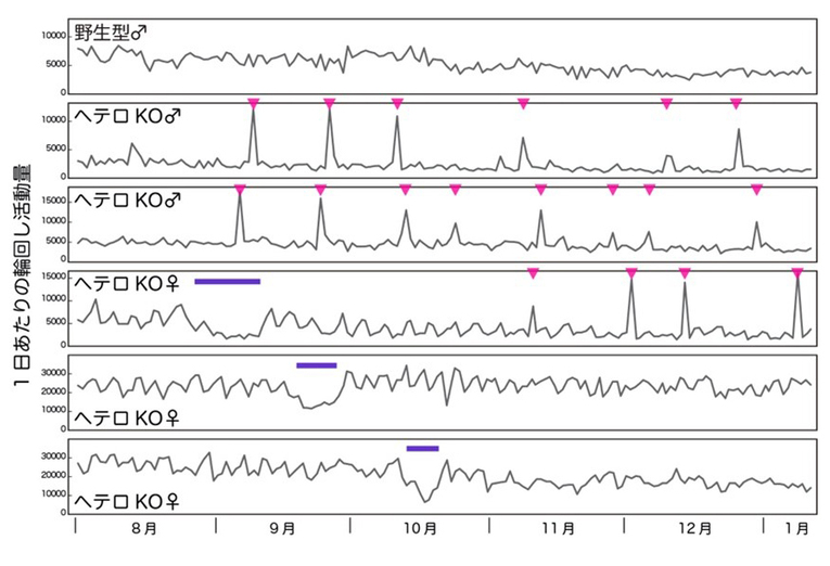 Fig1s_de765-522px.jpg
