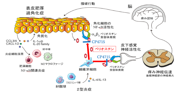 fig01resize.png