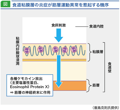 jddw2020_no2_p2_fig1.jpg
