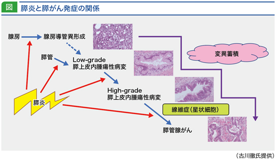 jddw2020_no3_p2_fig1