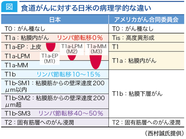 jddw2020_no3_p4_fig2
