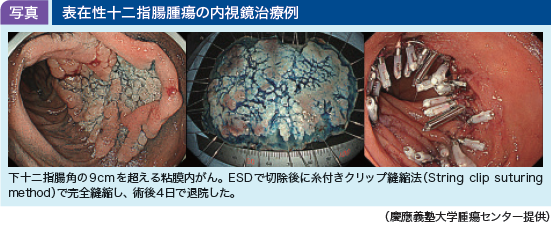 jddw2021_no1_p1_fig1