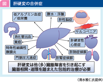 jddw2021_no1_p2_fig1