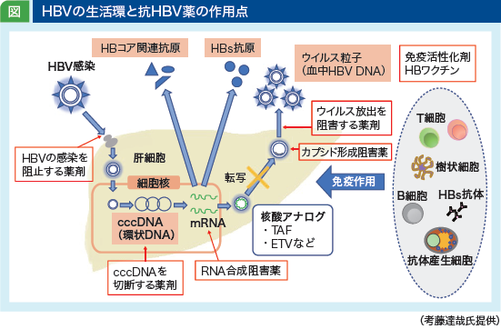 jddw2021_no1_p4_fig1