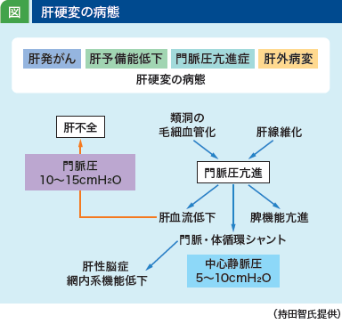 jddw2021_no3_p2_fig1