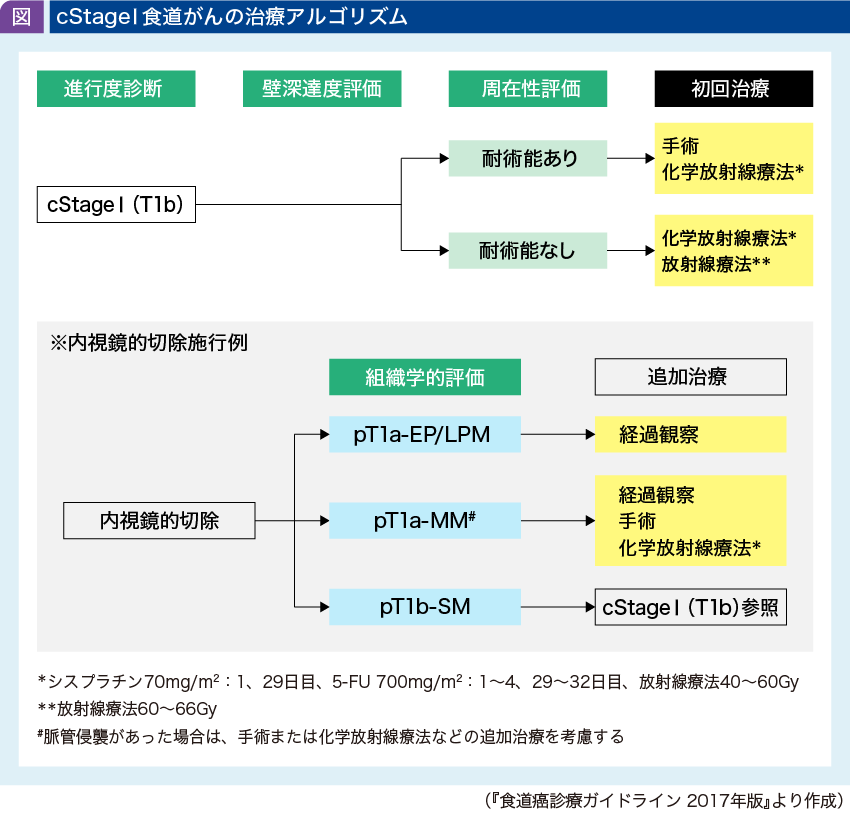 食道癌 （がん研スタイル癌の標準手術）｜科学・医学・技術