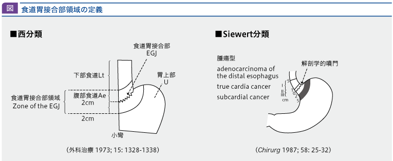 jddwto06_fig1.png